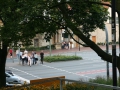 IMG_7132.JPG